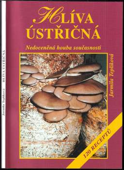 Hlíva ústřičná