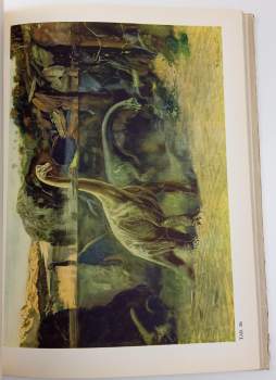 Josef Augusta: Hlubinami pravěku