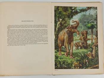 Josef Augusta: Hlubinami pravěku