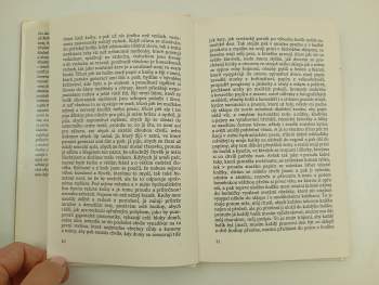 Bohumil Hrabal: Hlučná samota