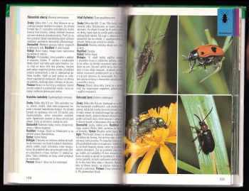Helgard Reichholf-Riehm: Hmyz a pavoukovci