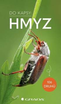 Hmyz