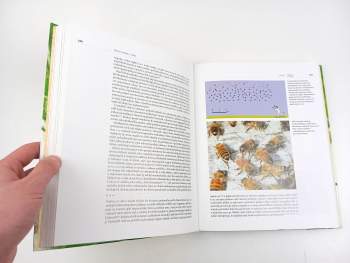 Jan Ždářek: Hmyzí rodiny a státy