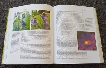 Jan Ždářek: Hmyzí rodiny a státy