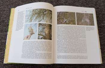 Jan Ždářek: Hmyzí rodiny a státy