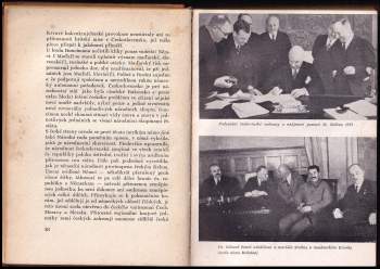 Pavel Fink: Hnědá bestie