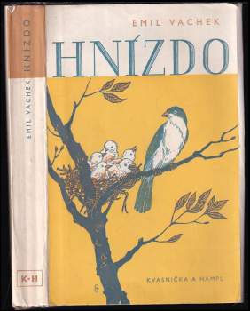 Hnízdo