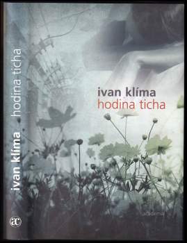 Hodina ticha