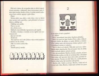 Jacqueline Wilson: Holka z popelnice