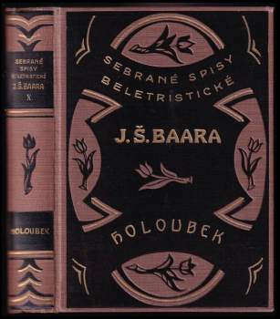 Holoubek : kněžská idyla