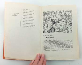 Arthur Ransome: Holubí pošta