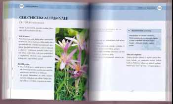Ambika Wauters: Homeopatie od A do Z