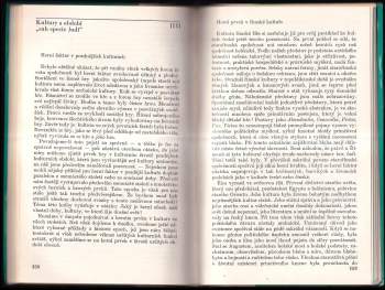 Johan Huizinga: Homo ludens