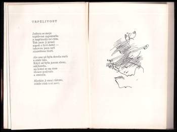 Věnceslav Juřina: Hon na motýly