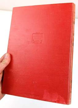 Jules Verne: Honba za meteorem