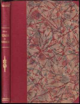 Jules Verne: Honba za meteorem