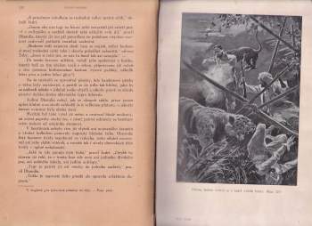 Emilio Salgari: Hora světla