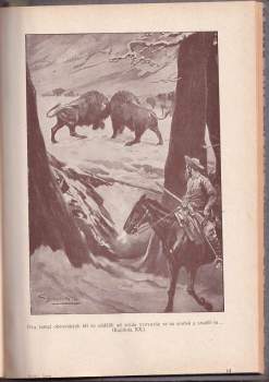 Emilio Salgari: Hořící lesy