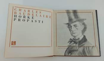 Charles Baudelaire: Hořké propasti