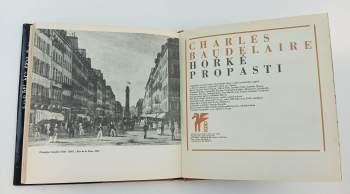 Charles Baudelaire: Hořké propasti