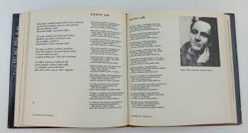 Charles Baudelaire: Hořké propasti