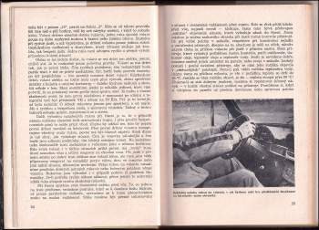 Dalibor Janek: Horký volant