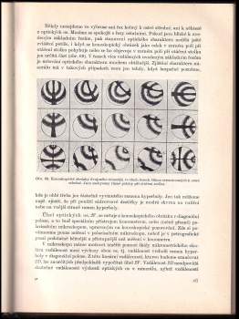 Jiří Konta: Horninotvorné minerály