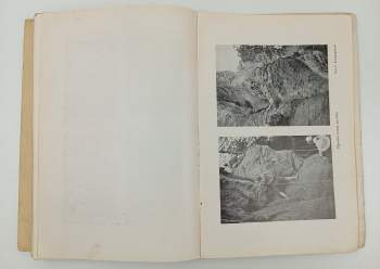 Josef Janeba: Horolezecká cvičení v Prachovských skalách 1930-1934