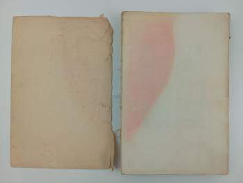 Josef Janeba: Horolezecká cvičení v Prachovských skalách 1930-1934