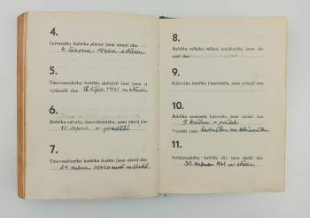 Jaroslav Foglar: Hoši od Bobří řeky