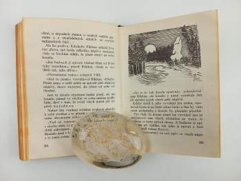 Jaroslav Foglar: Hoši od Bobří řeky