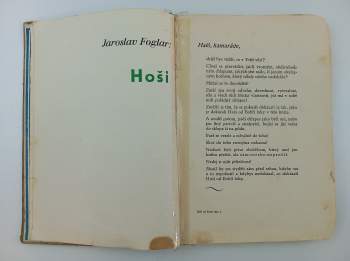 Jaroslav Foglar: Hoši od Bobří řeky