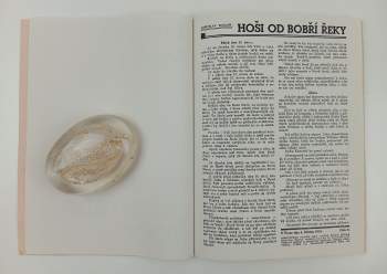 Jaroslav Foglar: Hoši od Bobří řeky