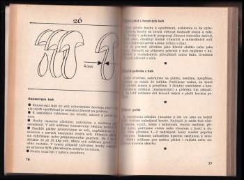 Jiří Roth: Houbař