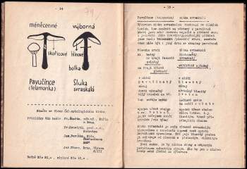 Jaroslav Němec: Houbařovy oči