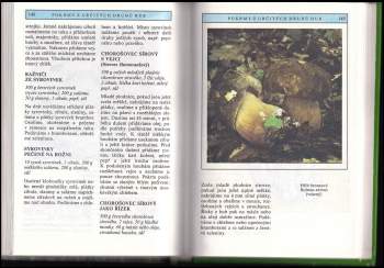 Miroslav Smotlacha: Houbařská kuchařka