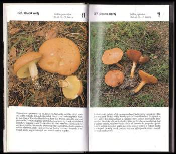 Josef Erhart: Houbařský atlas