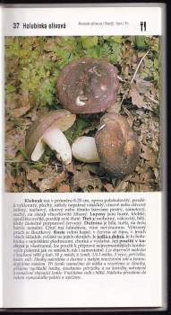 Miroslav Smotlacha: Houbařský atlas