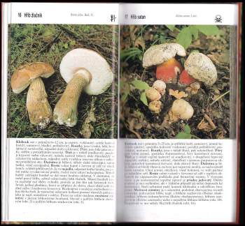 Miroslav Smotlacha: Houbařský atlas