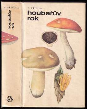 Houbařův rok