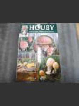 Houby