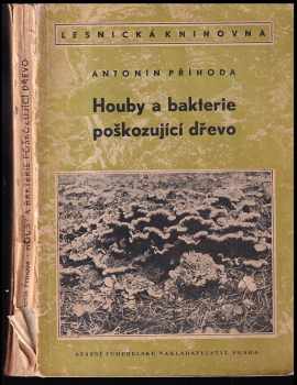 Houby a bakterie poškozující dřevo