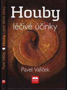 Houby a jejich léčivé účinky