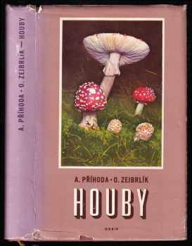 Houby