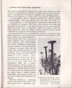 Albert Pilát: Houby Československa ve svém životním prostředí