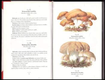 Edmund Michael: Houby