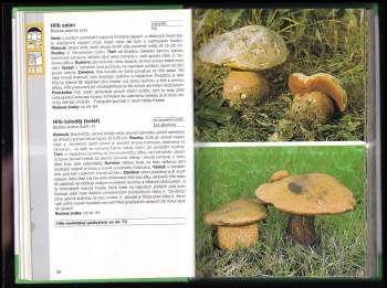 Ewald Gerhardt: Houby