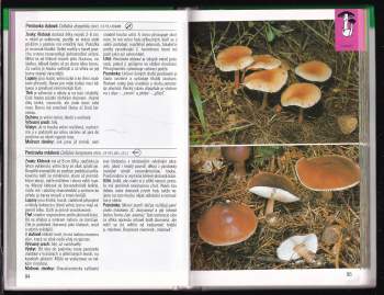 Helmut Grünert: Houby