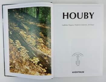 Jiří Baier: Houby