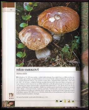 Ladislav Hagara: Houby